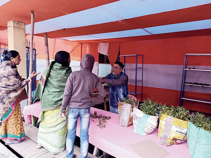 Jayanto Chaudhary  distributes saplings in Hojai. 