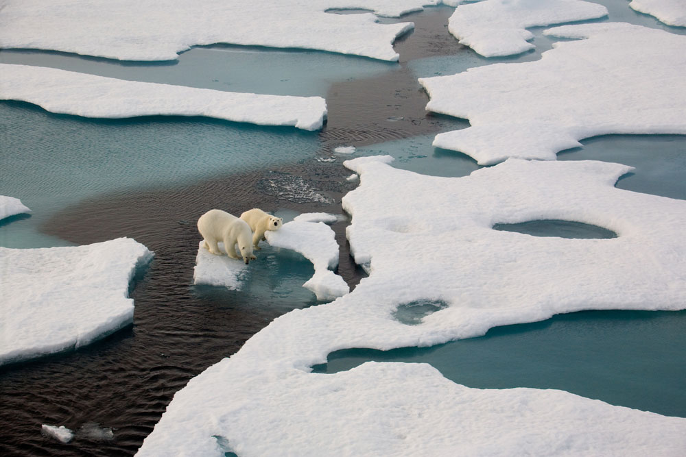 The effects of global warming or climate change include rising air and water temperatures, loss of sea ice, and melting of polar ice caps
