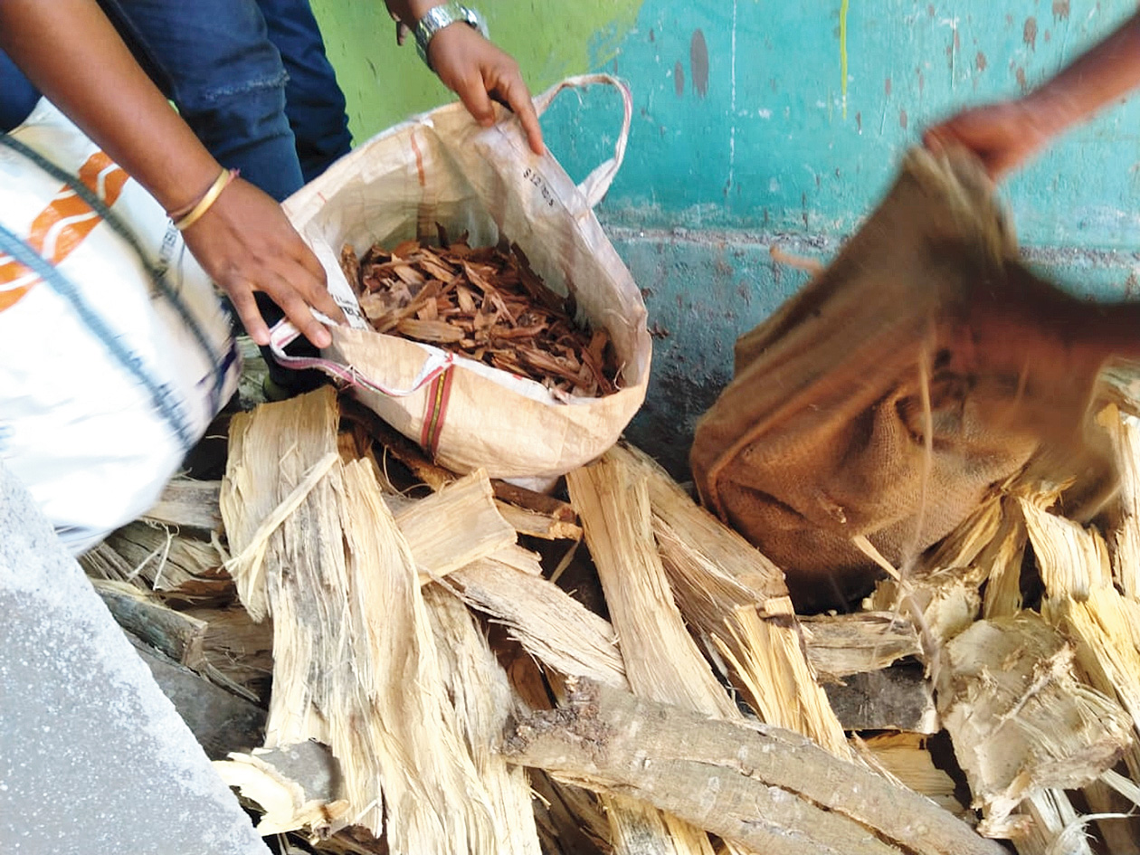 The sandalwood seized by the circle enforcement squad of the Koraput forest division.
