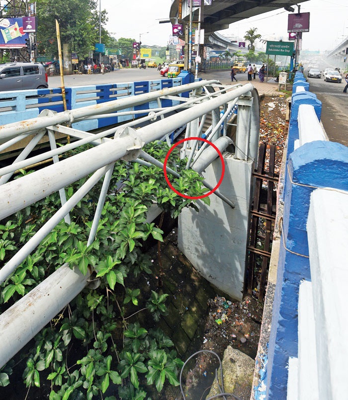 The pipeline beside Ultadanga bridge (circled) where the body was hanging
