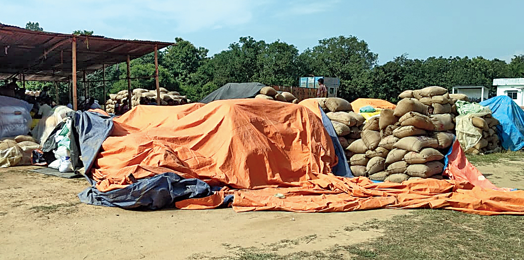 The state-procured paddy at Sabroom in Tripura’s South district. 