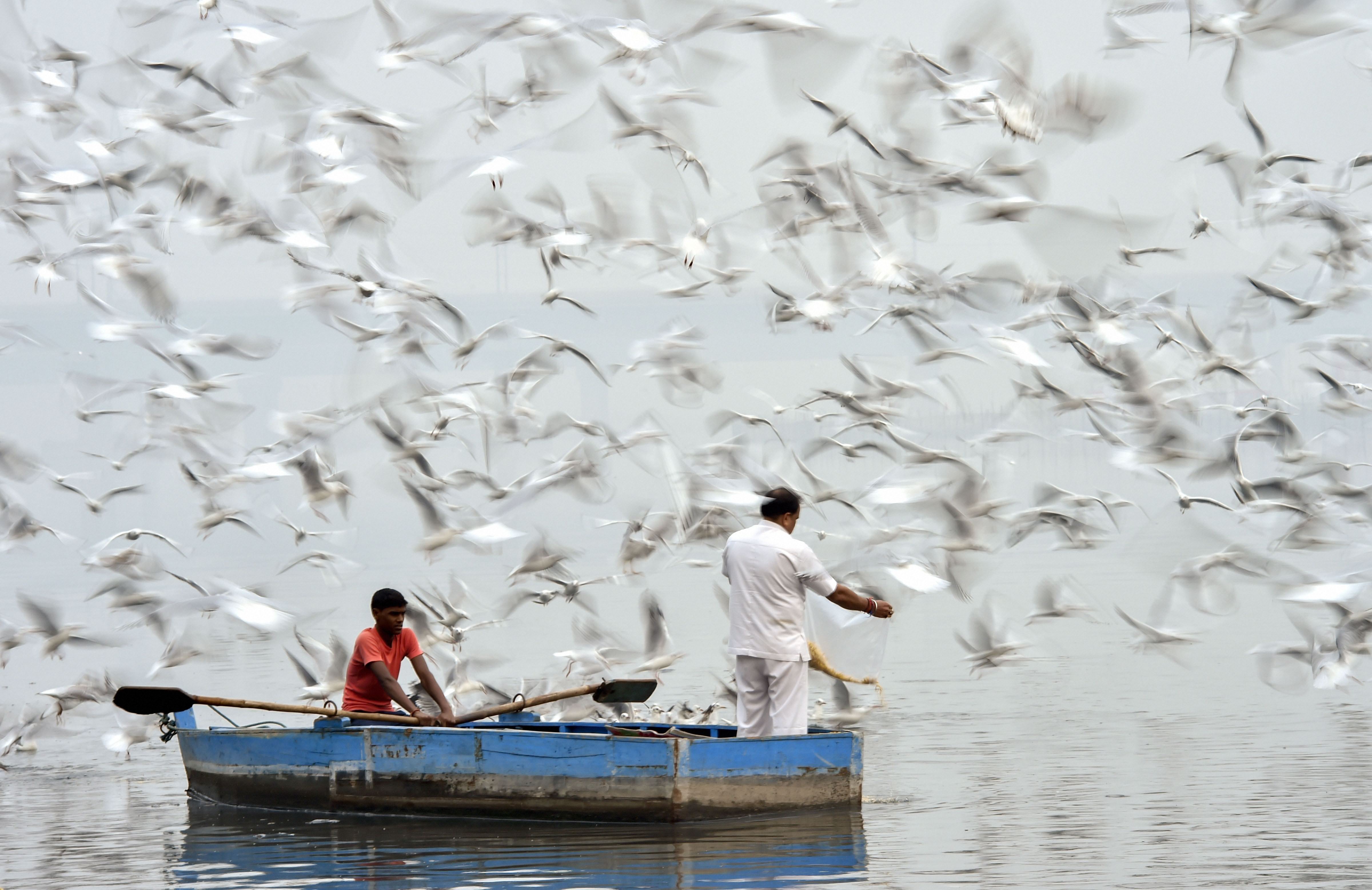 Birds fly over Ganga River on a smoggy morning, in Prayagraj, Monday, November 4, 2019.