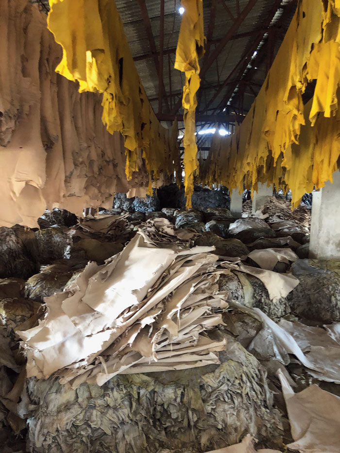 No country for tanneries