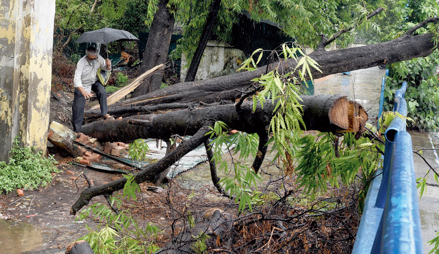 A man clambers over an uprooted tree blocking a footpath along AJC Bose Road, near the Race Course, on Saturday morning.