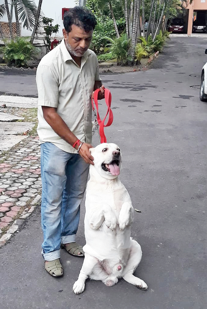 A trainer from Janopriyo Creche teaches a Labrador