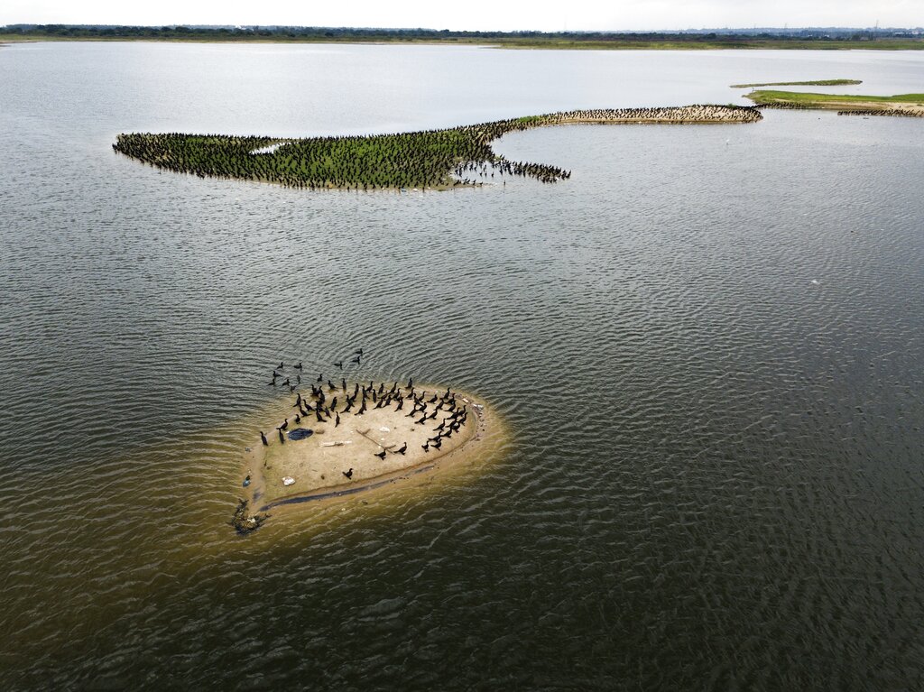 Birds reappear in the bay amid the lack of cars along the coastal highway due to a quarantine imposed by the government to help contain the spread of the new coronavirus in Asuncion, Paraguay, Monday, April 6, 2020.