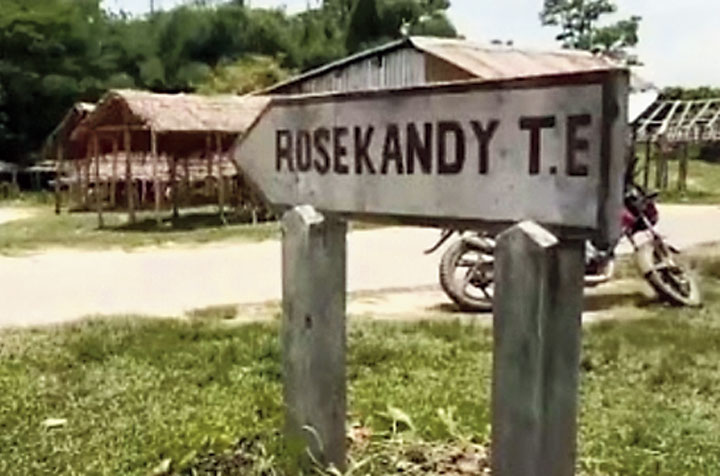 Rosekandy tea estate. 