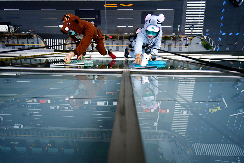 Window cleaners dressed as zodiac animals of boar and rat clean the glass exterior of a hotel on December 19 in Tokyo