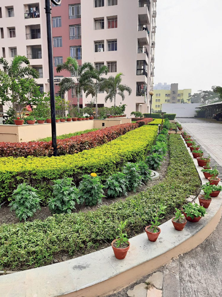 The Mallika Malancha Housing Complex