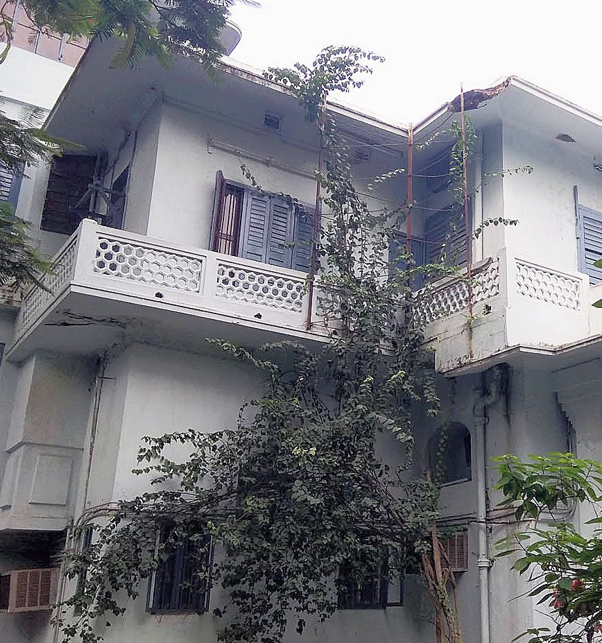 Banyan saplings sprouting from the building