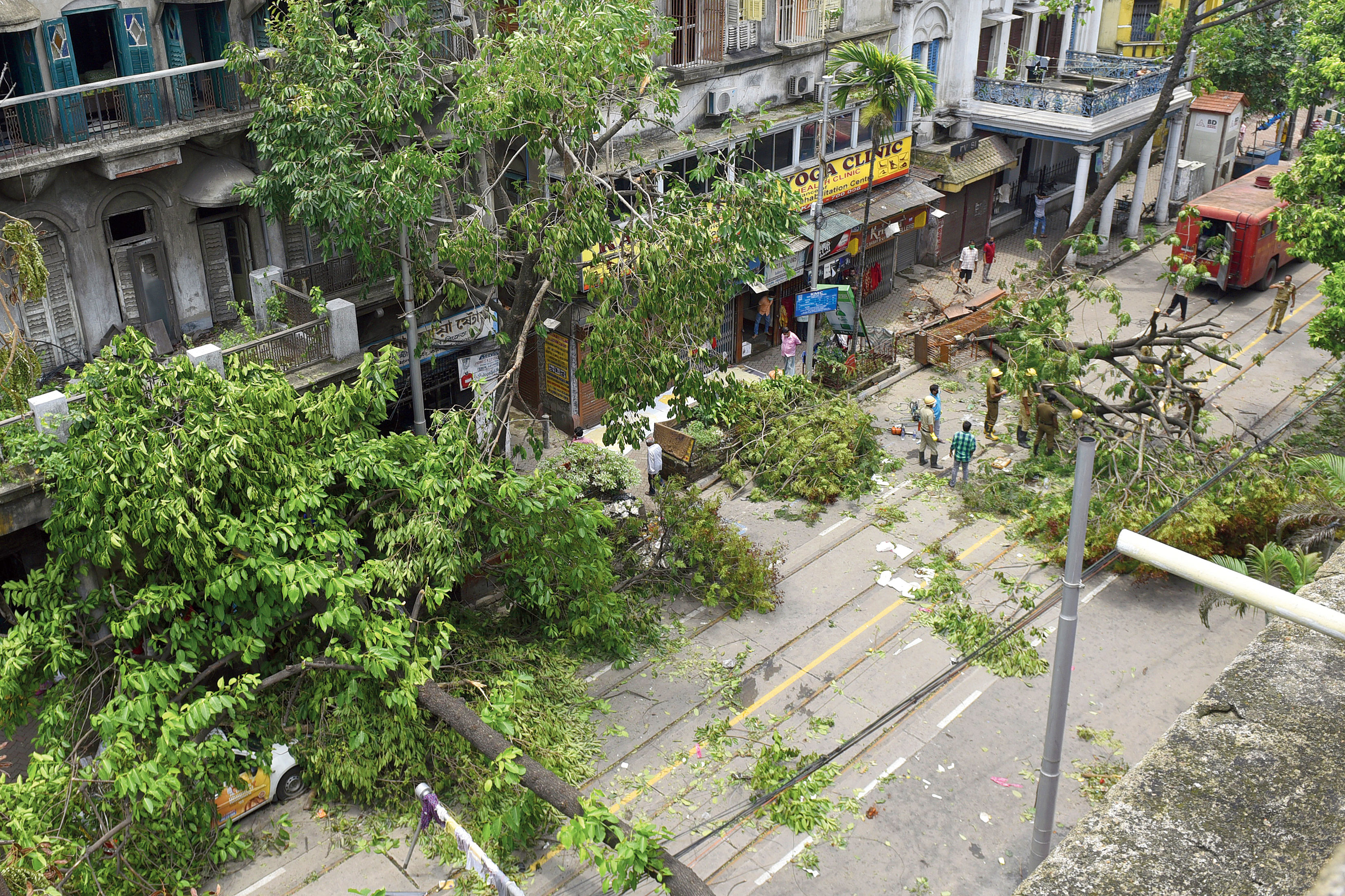 Efforts are on to remove the uprooted trees from Bidhan Sarani in Calcutta on Friday.