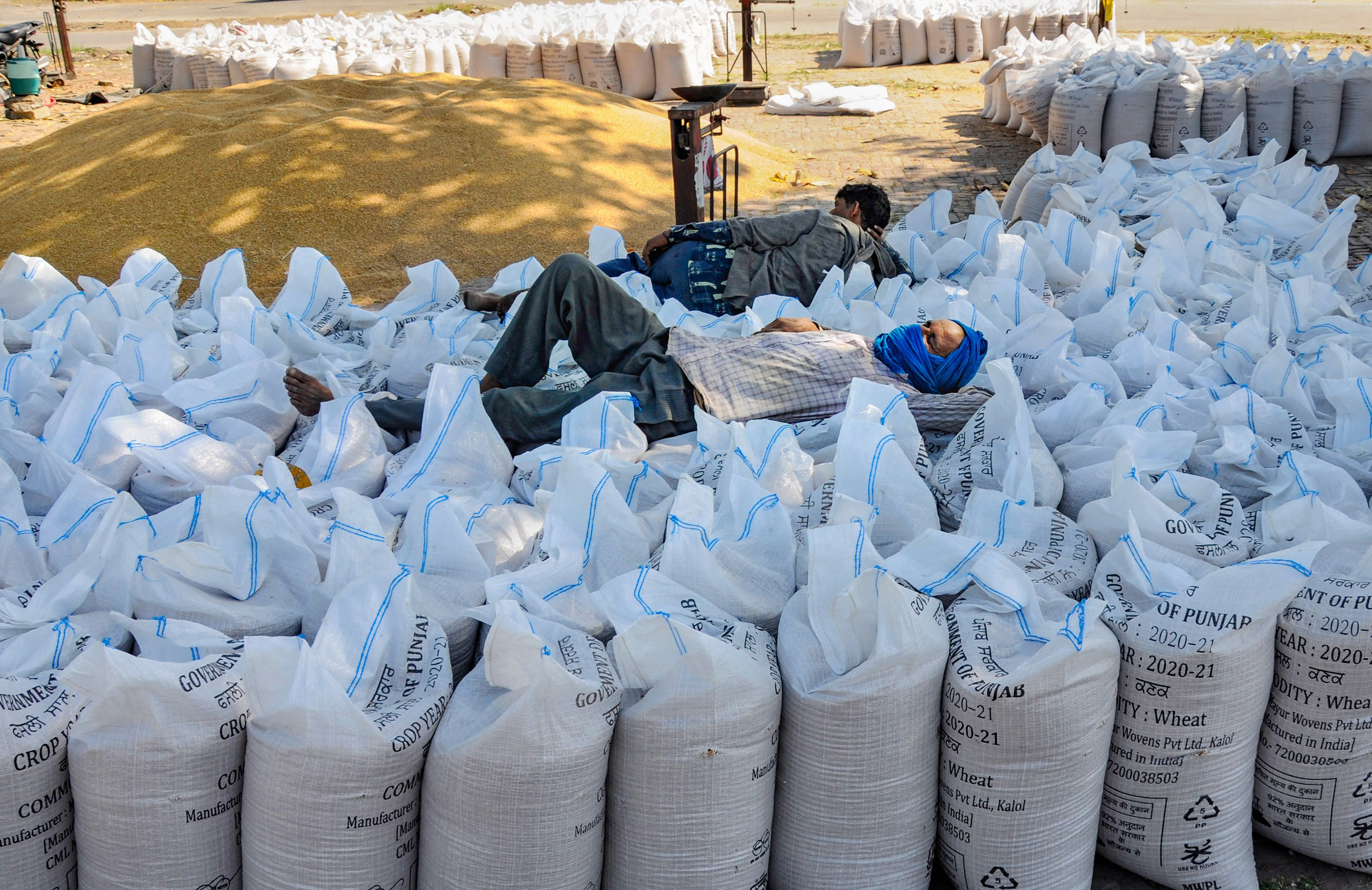 Workers take rest on the sacks of harvested wheat grains at a grain market, during the nationwide lockdown, in Amritsar, Thursday, April 23, 2020. 