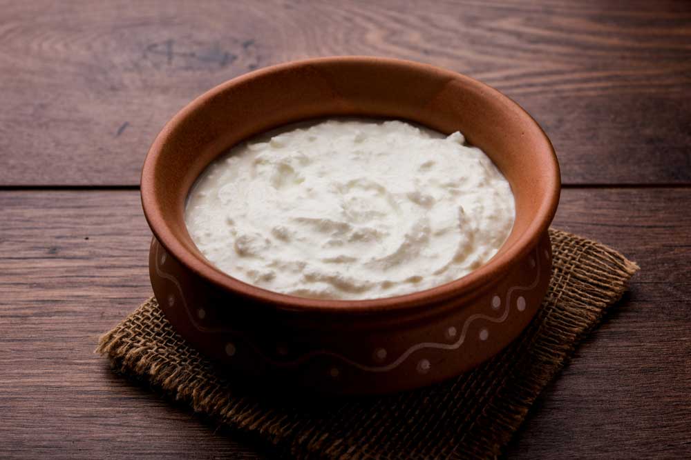 The study had examined bacterial species present in curd made from an indigenous breed of cattle called Malnad gidda and isolated a species called Lactobacillus fermentum, first discovered by European scientists in the mid-1990s.
