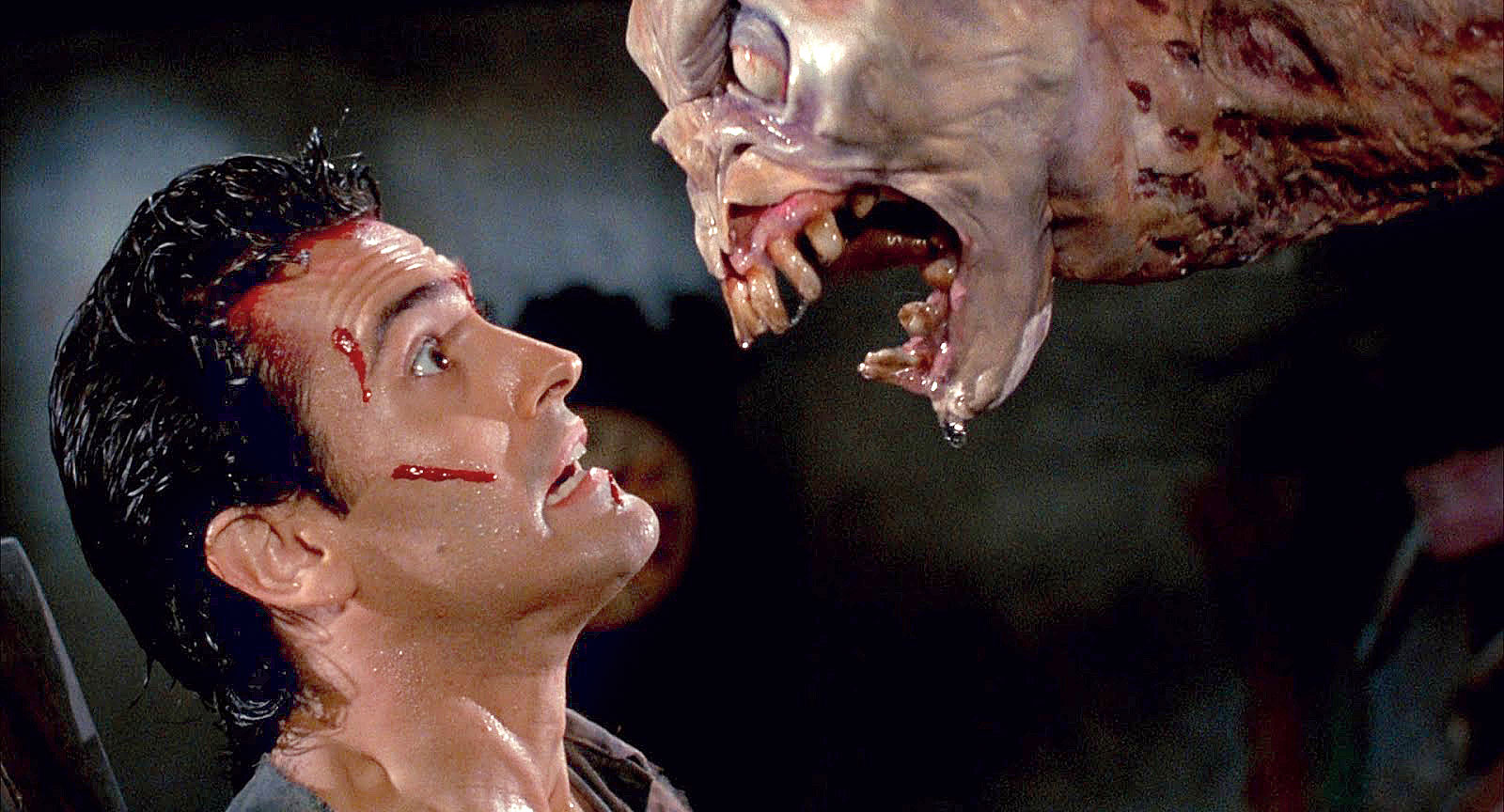 Evil Dead II (1987)
This is one of those rare sequels that was better than the original. Director Sam Raimi and Bruce Campbell as Ash Williams were better, more mature and together they created one hell of a ride!