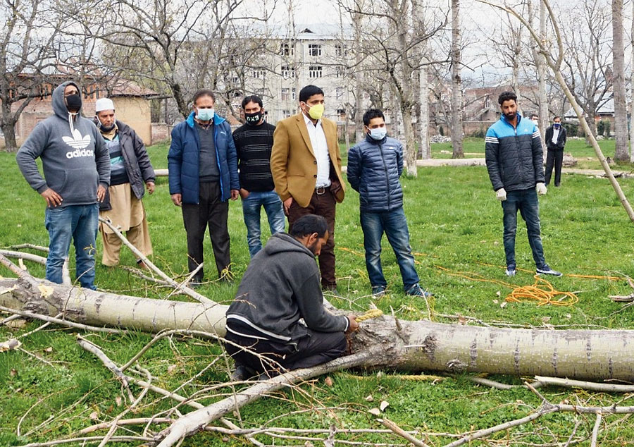 Government officials monitor the felling of poplars in Shopian district