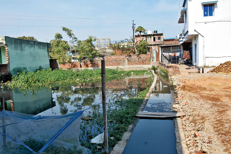 Dirty water from the drain spills on to the adjoining land at Kapali in Chandil, Seraikela-Kharsawan