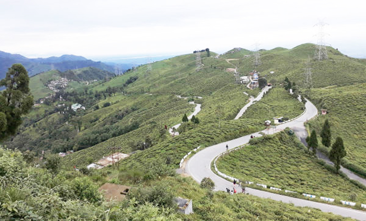 Darjeeling tea garden shut after attack on official - Telegraph India
