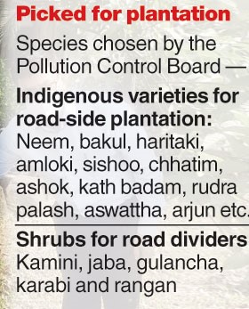 Picked for plantation: Species chosen by the Pollution Control Board — Indigenous varieties for road-side plantation: Neem, bakul, haritaki, amloki, sishoo, chhatim, ashok, kath badam, rudra palash, aswattha, arjun etc. Shrubs for road dividers: Kamini, jaba, gulancha, karabi and rangan