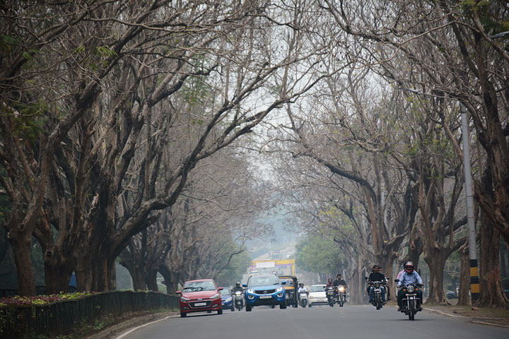 Cloudy sky over Circuit House Area Road in Jamshedpur on Thursday. 