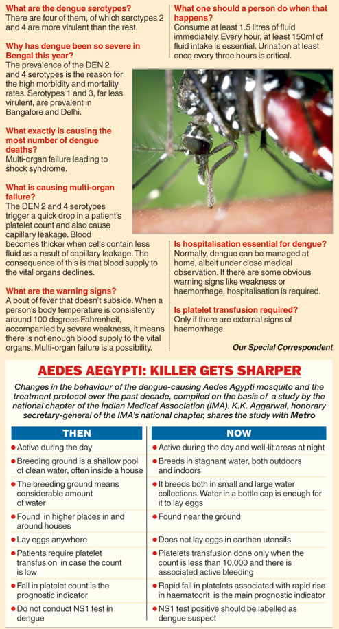 a report of dengue